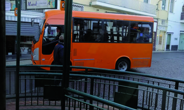 BUS: ARRIVA IL PRIMO GLI ALTRI A SEGUIRE